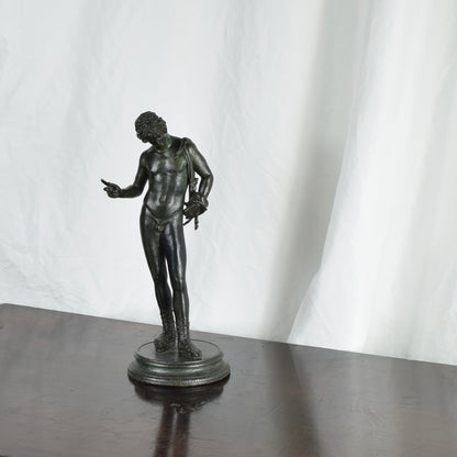 Narcissus Bronze