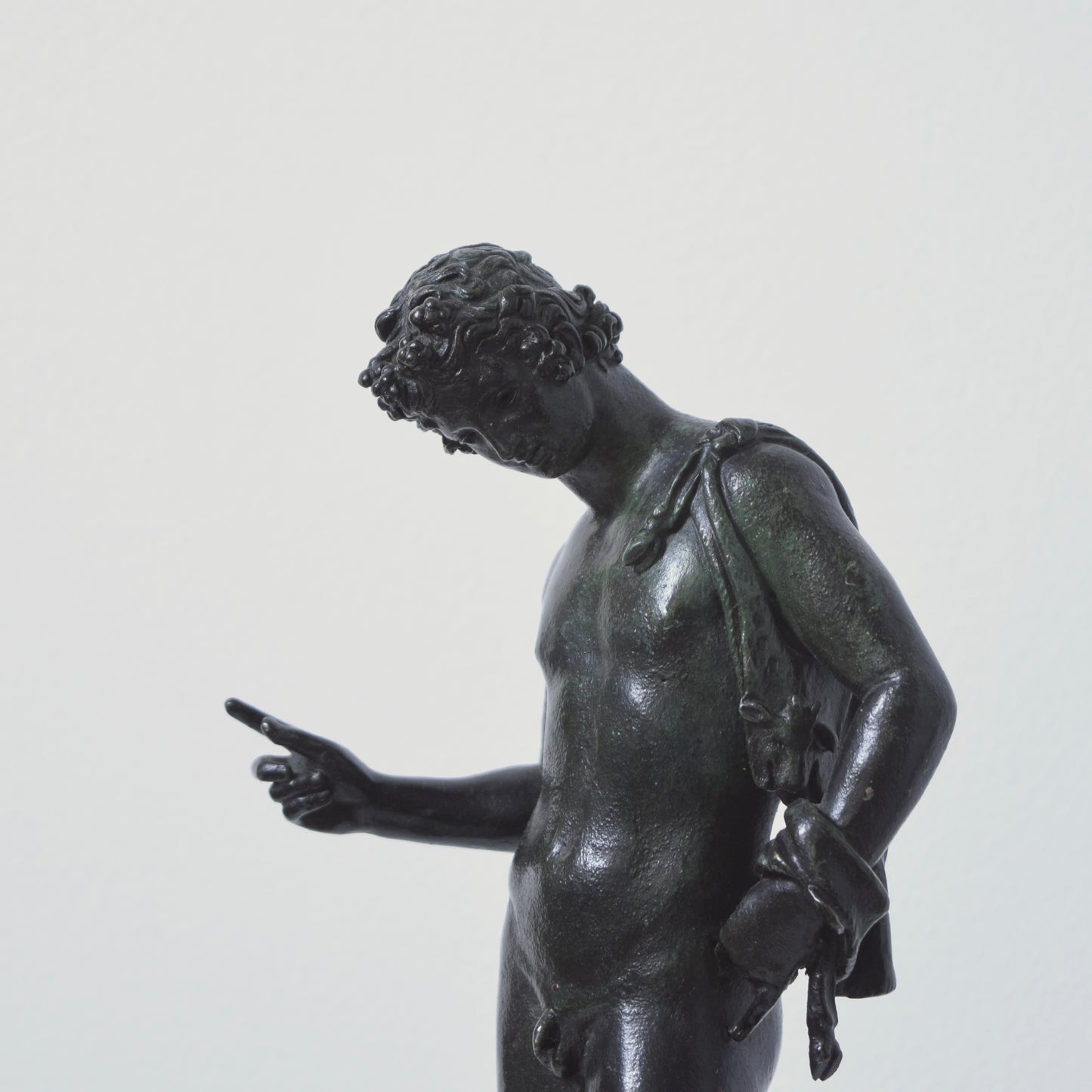 Narcissus Bronze