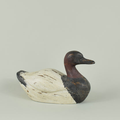 Decoy Duck