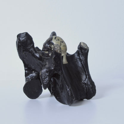 John Wesley horse/cow bone
