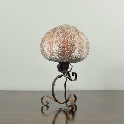Sea Urchin Lamp
