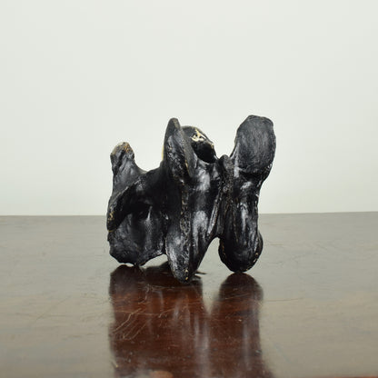 John Wesley horse/cow bone