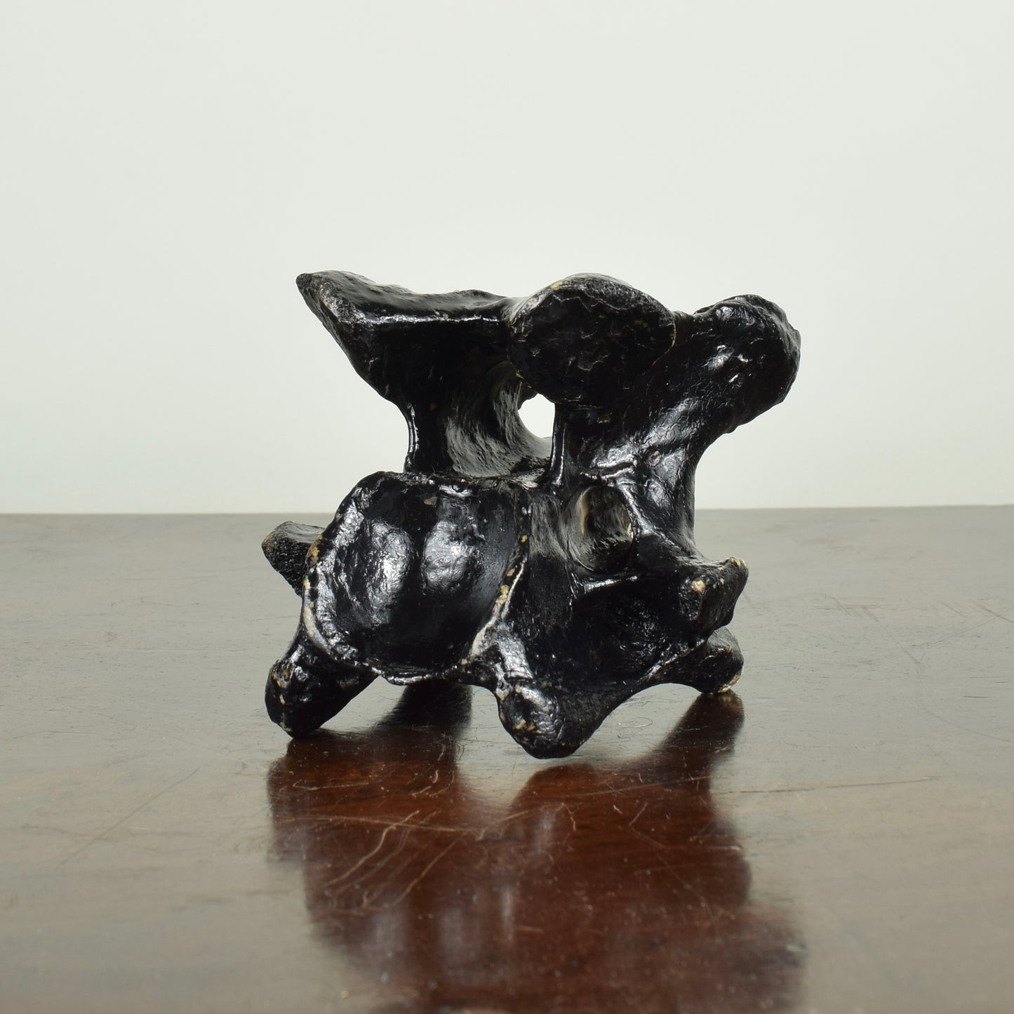 John Wesley horse/cow bone