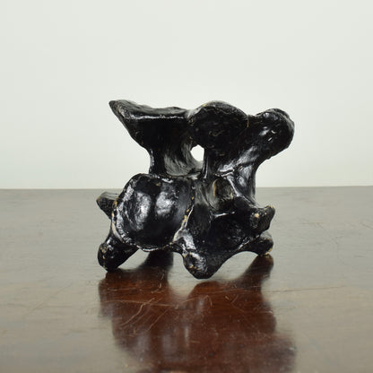 John Wesley horse/cow bone