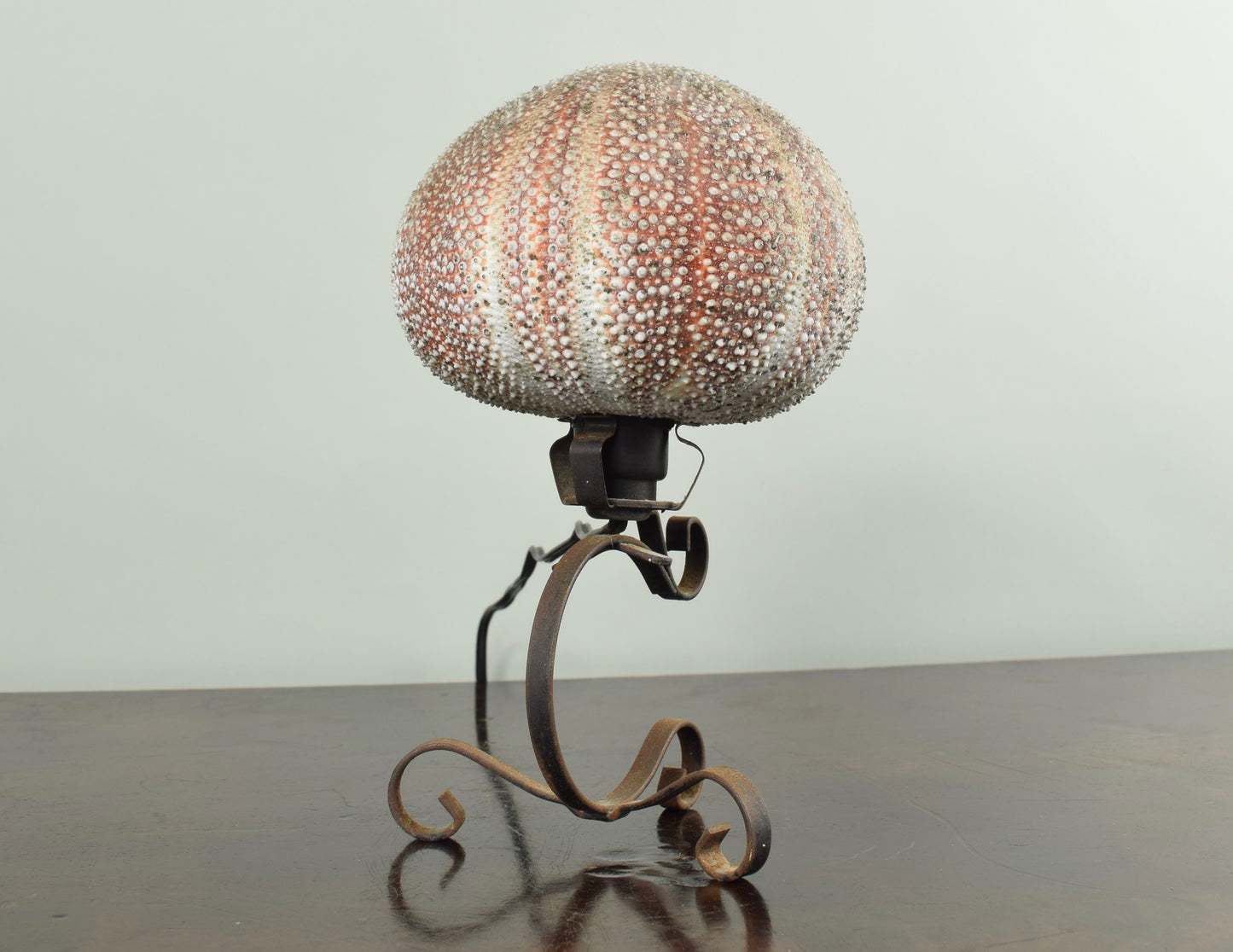 Sea Urchin Lamp