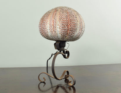 Sea Urchin Lamp