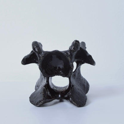 John Wesley horse/cow bone