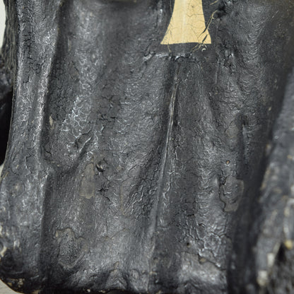 John Wesley horse/cow bone