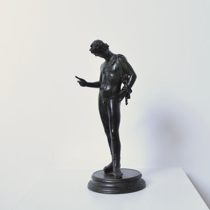 Narcissus Bronze