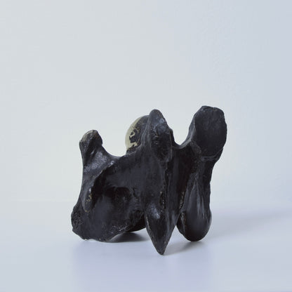 John Wesley horse/cow bone
