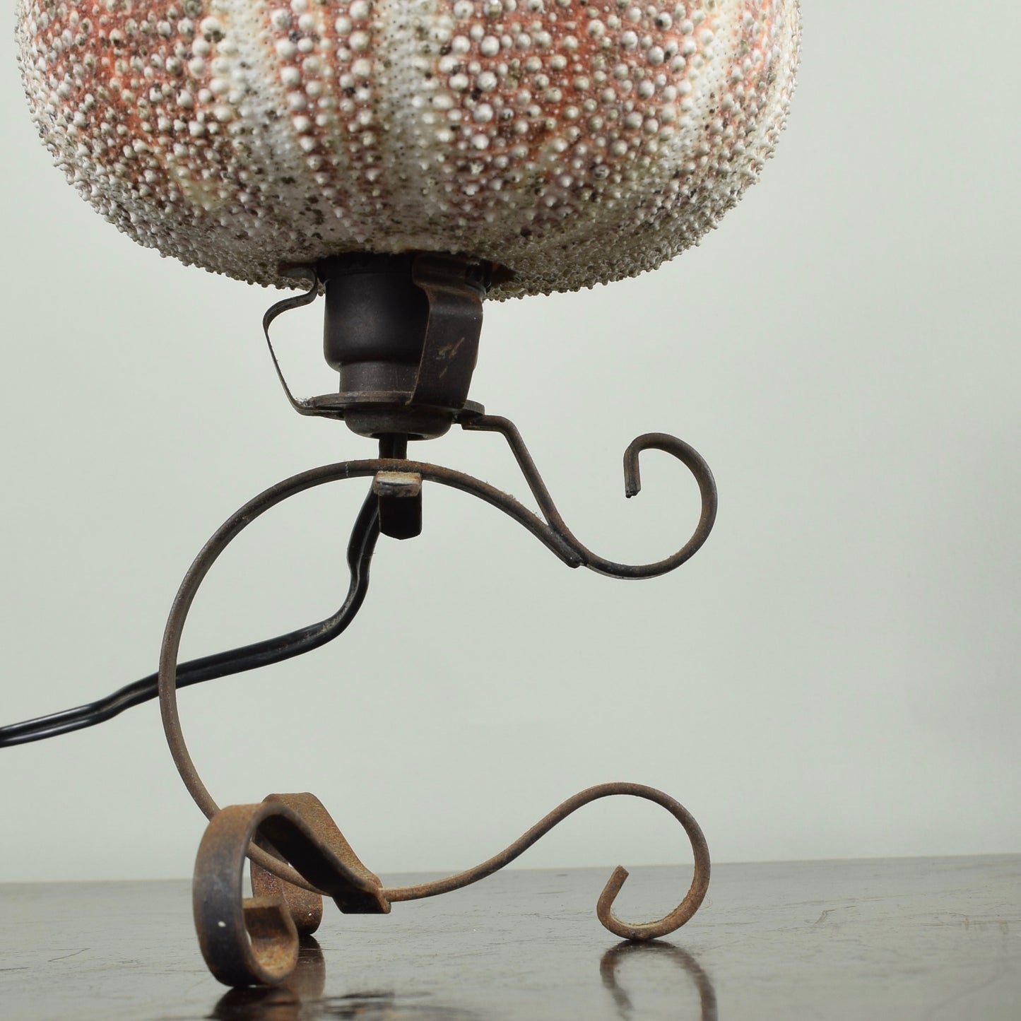 Sea Urchin Lamp