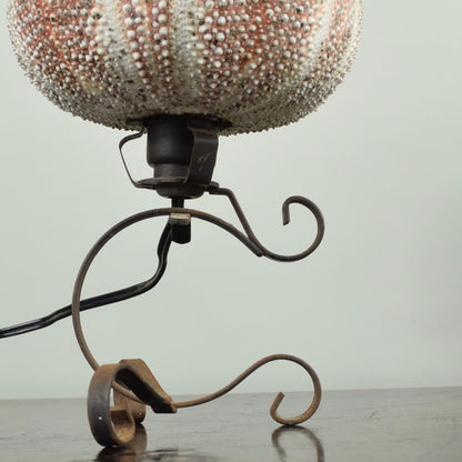 Sea Urchin Lamp