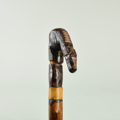 Walking Stick
