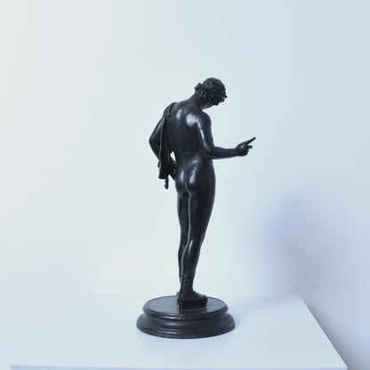 Narcissus Bronze