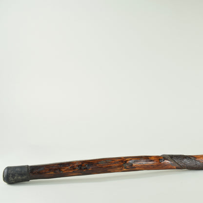 Walking Stick