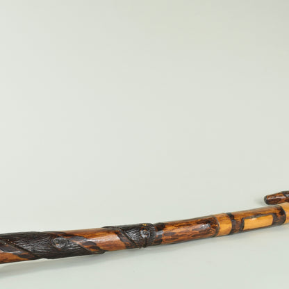 Walking Stick